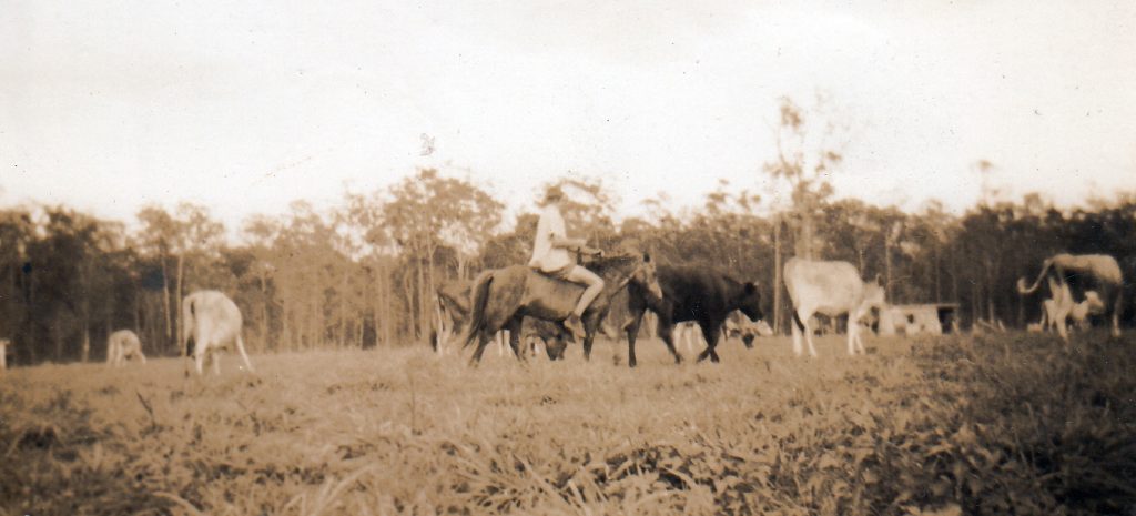 The Abbey Dairy Diary 
