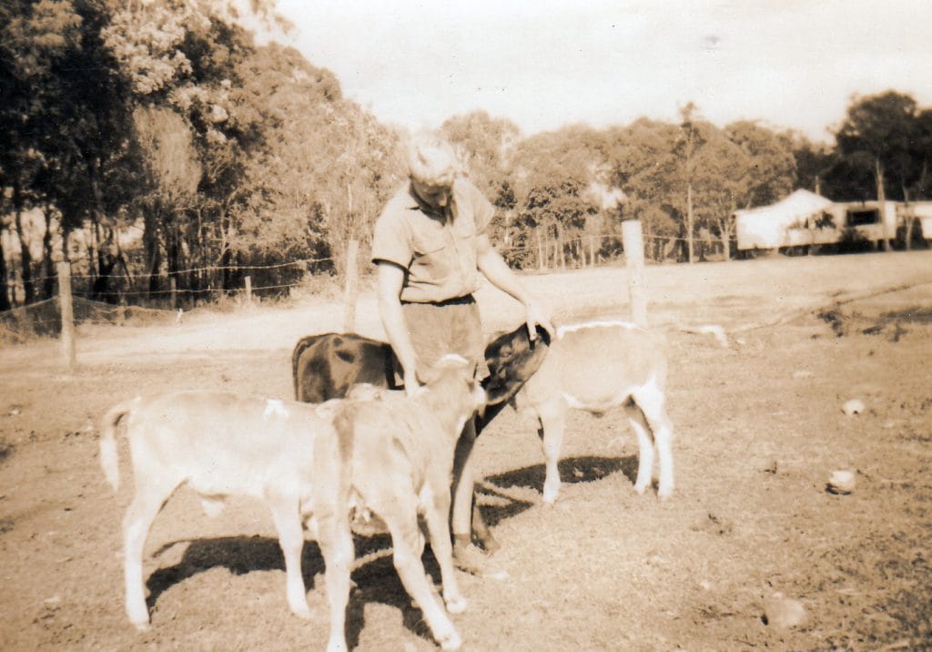 Person caring for calves at Abbey Farm
