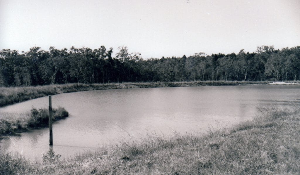 Farm dam and surrounding bushland at Abbey Farm 